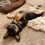 Jake Silverstein - @jake_silverstein27 - Instagram
