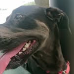 @jake_sisko - Instagram