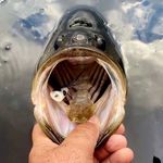 @_jake_snyder - Instagram