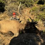 Jake Sorenson - Facebook