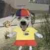 Jake Stahl - @jake_stahl_ - TikTok