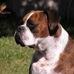@jake_starkey__ - Instagram