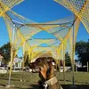 Jake Steinmetz613 - @therealjakeschteinmetz - TikTok