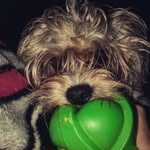 Jake Sumner - @jake_sumner327 - Instagram