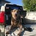 Jake Swenson - Facebook