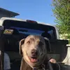 Jake Swenson - @jakeswenson76 - TikTok