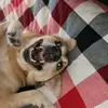 Jake Templeton - @jaketempleton53 - TikTok