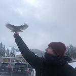 Jake Teschner - @jaketeschner - Instagram