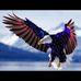 Tesch Jake - Facebook