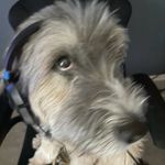 Jake D Tharp - @jake_d_tharp - Instagram