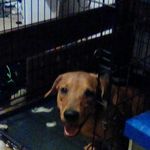 jake tharp - @tharp.jake - Instagram