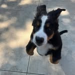Jake Thomson - @jacob.thomson_ - Instagram