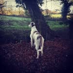 Jake Thomson - @jakethomsonn - Instagram