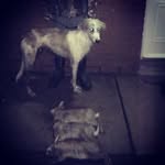 Jake Thomson - @jake.thomson.3705 - Instagram