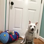 Jacob Thorington - Facebook