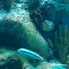 Jack trimble - @jack.trimble2 - TikTok
