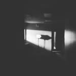 Jake Trimble - @trimble38 - Instagram