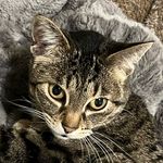 Jake Trujillo - @awful_dawg - Instagram