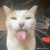 jake - @jakeulrichh - TikTok