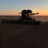 Jack Vogel - @jack.vogel17 - TikTok