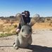 Jake Waddell - Facebook
