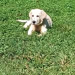Jake Waggoner - @jake_waggoner78 - Instagram