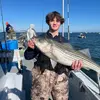 Jack Waldron - @jackwaldron60 - TikTok