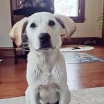 Jake Wertz - @jakewertz - Instagram