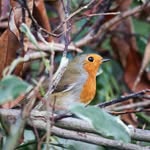 Jake Wharton - @jake_aviation1 - Instagram