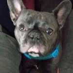 Jake Wheatley - @jake.wheatley.104 - Instagram