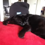 Jake_Whitaker - @jake_whit.aker - Instagram