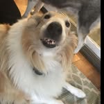 Jake Whitney - @spam.jakeeeee - Instagram