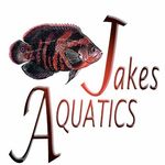 Jake Fraser Whittington - @jakesaquatics96 - Instagram