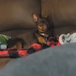 Jake Wilkey - @jakob.smith.568089 - Instagram