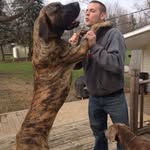 Jake Zentz - @jakezentz - Instagram