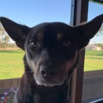 Jaki Thomas - @jaki.thomas.370 - Instagram