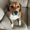 jakob_bailey - @jakob_bailey - TikTok