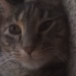 Jakob Baker - @crazycat55375 - Instagram