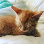 Jakob Baker - @jakobbaker6 - Instagram