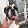 Jakob - @jakobbaxter4 - TikTok