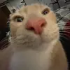 jakob cole<3 - @colemakkonen - TikTok