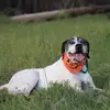 Jakob Jackson431 - @jakobjackson431 - TikTok