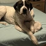Jakob Jackson - @jakob_jackson_53 - Instagram