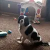 jake - @jakob.johnsonn - TikTok