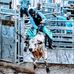 Jakob Johnson - Facebook