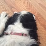 Jakob johnson - @jakeboij - Instagram