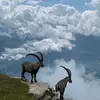 Jakob Kramer - @jakob.kramer0 - TikTok