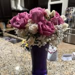 Jakob Lester - @jakesflowerssrq - Instagram