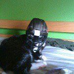 Jakoblester - @jakoblester1 - Instagram