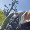 Jakob Lindal Brun - @jakob_lindal - TikTok